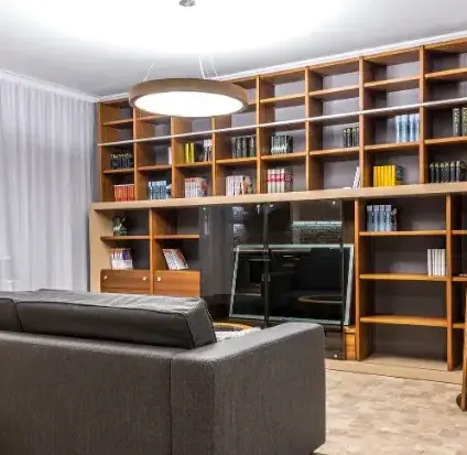 plaquiste Pontlevoy-5